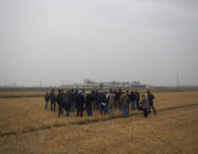 Ristec Visita ai campi dimostrativi sulle prove di sovescio