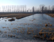 La tecnica della sommersione invernale