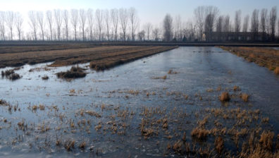 La tecnica della sommersione invernale