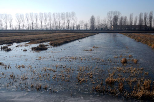 La tecnica della sommersione invernale