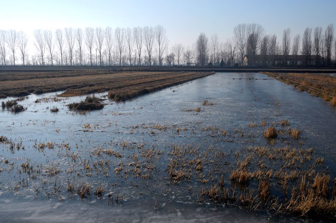 La tecnica della sommersione invernale