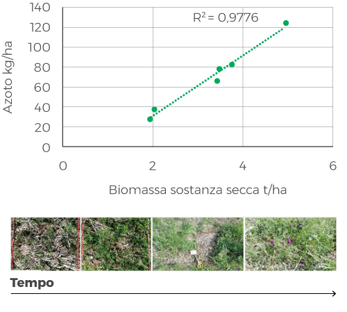 Figura 3: Apporti di azoto correlati con le quantità di biomassa di veccia apportata per il 2017