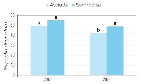 Degradazione della paglia