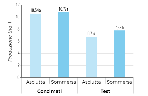 Granella vs concimazione