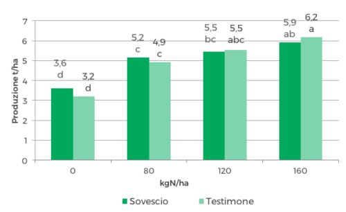 Fig. 2 — Produzione di risone al 14% di umidità relative alla gestione del sovescio ed al livello di concimazione azotata conseguite nel 2018
