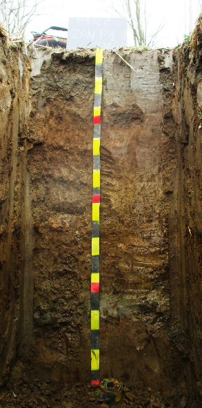 Figura 9 — Esempio di profilo pedologico aperto nell’unità aziendale U1